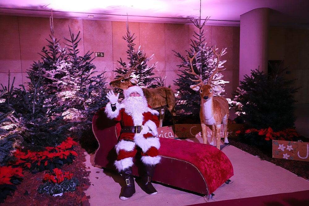 Fotos: Feria de Navidad de los Floristas de Burgos