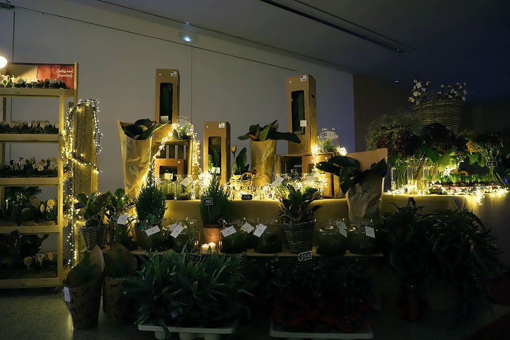 Fotos: Feria de Navidad de los Floristas de Burgos