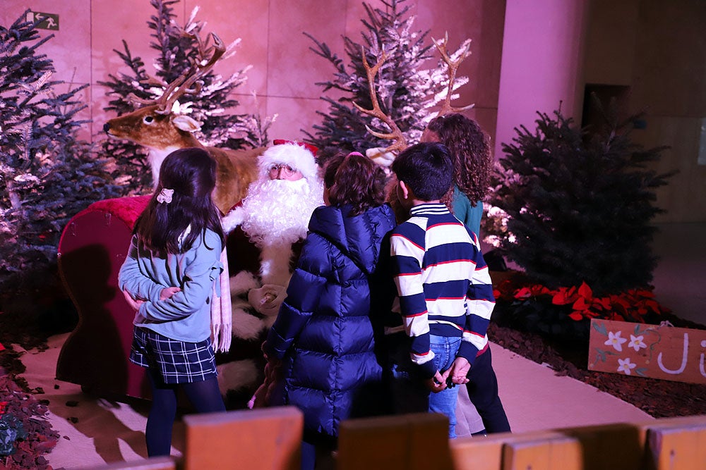 Fotos: Feria de Navidad de los Floristas de Burgos