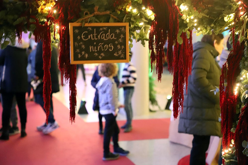 Fotos: Feria de Navidad de los Floristas de Burgos