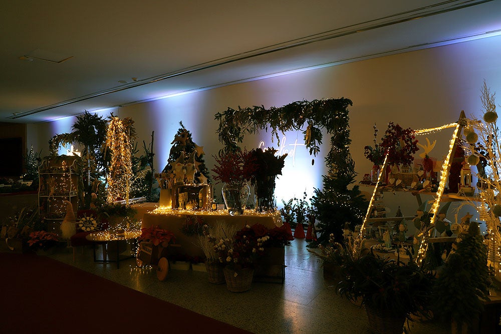 Fotos: Feria de Navidad de los Floristas de Burgos