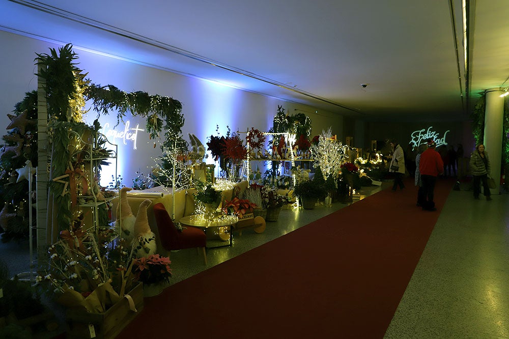 Fotos: Feria de Navidad de los Floristas de Burgos