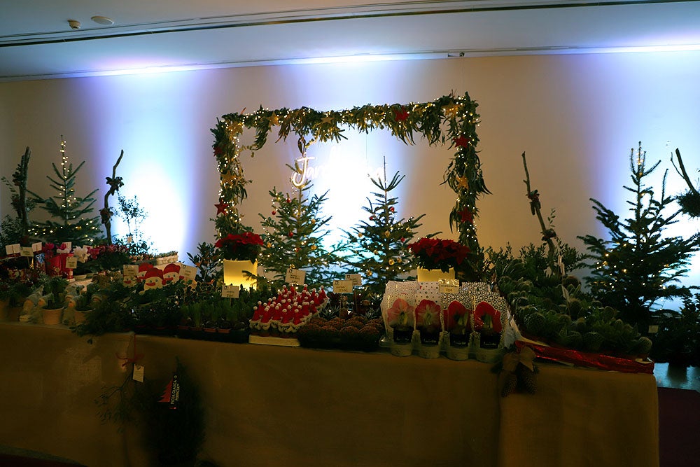 Fotos: Feria de Navidad de los Floristas de Burgos