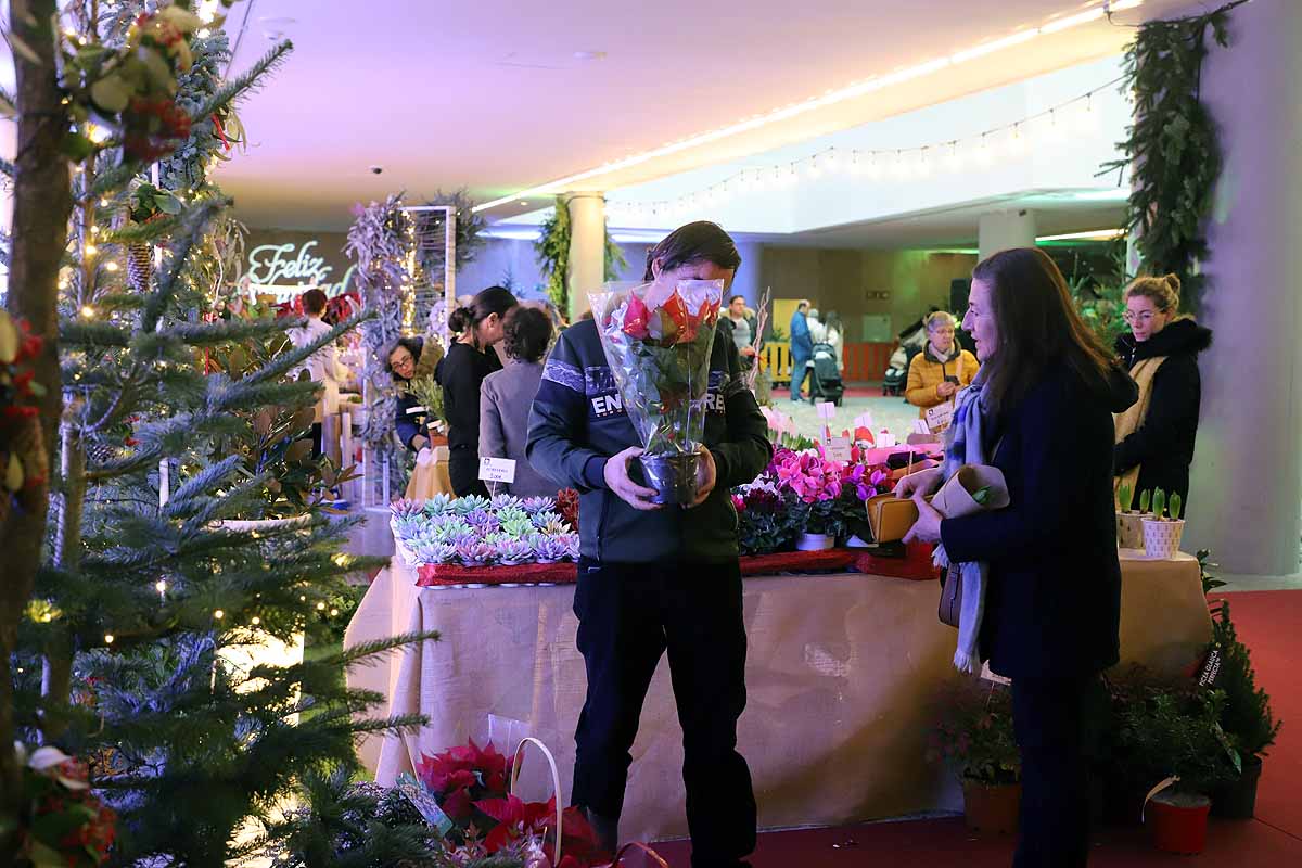 Fotos: La Feria de Navidad de los Floristas cierra con nota en Burgos