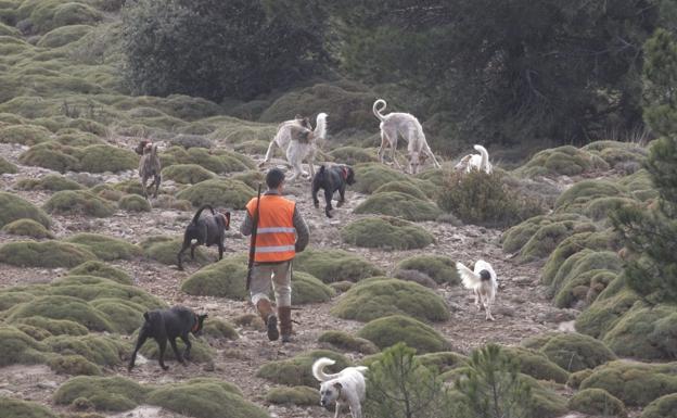 Una partida de caza en los montes oscenses de Loarre