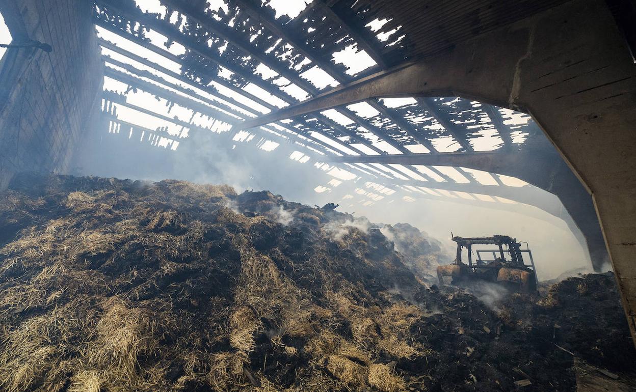 Alrededor de 300 ovejas y corderos han muerto esta madrugada en un incendio. .