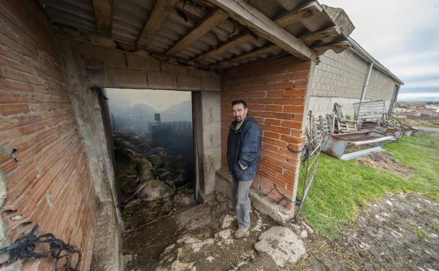 Alfonso, uno de los dueños de la nave incendiada, junto con las 300 ovejas y corderos que han muerto esta madrugada en un incendio que ha tenido lugar en una nave ganadera en la localidad de Fuentemolinos. 