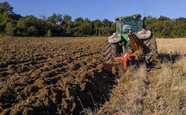 El campo en cinco años: 1.700 agricultores y 14.000 hectáreas menos