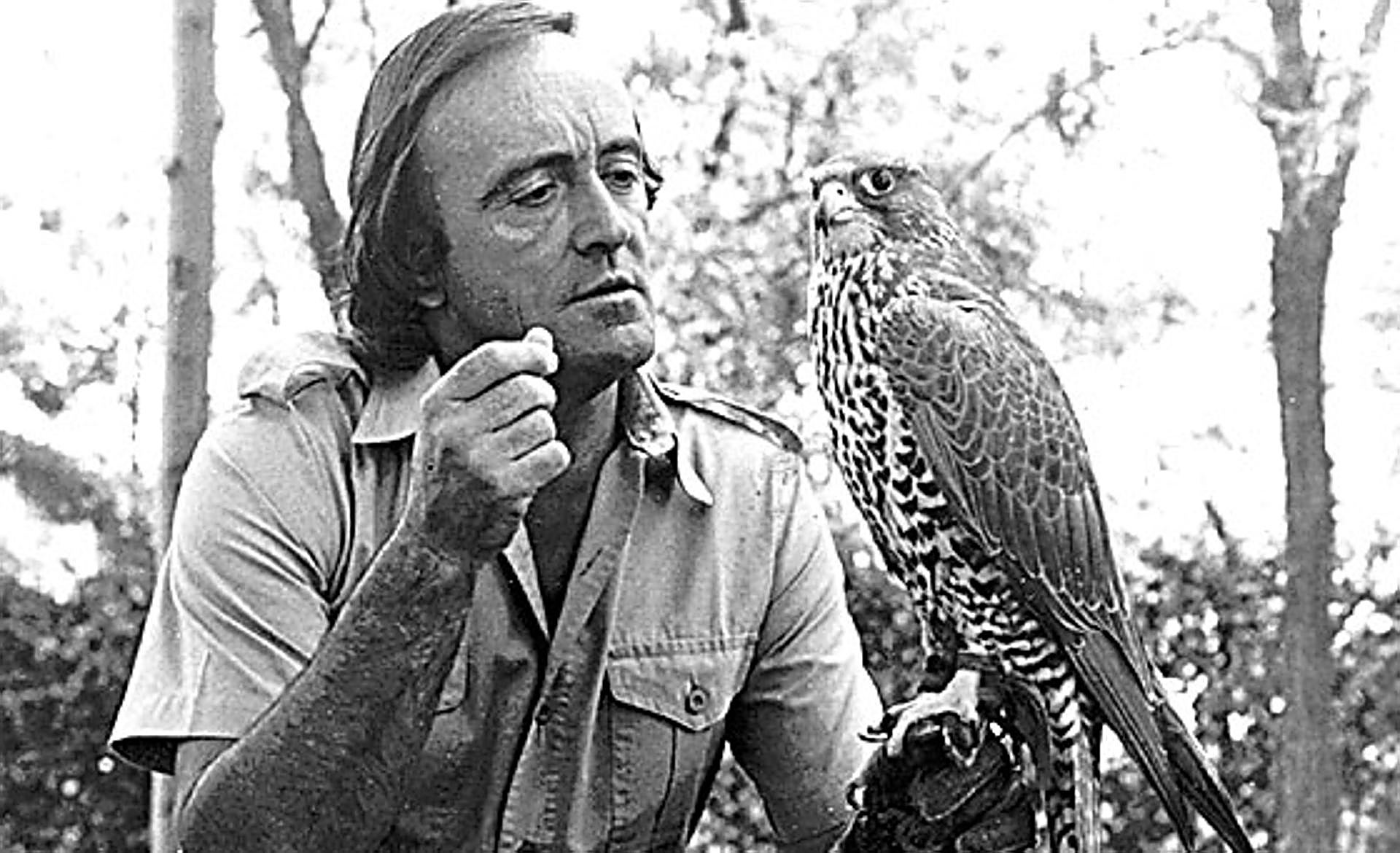 Scroll Story imagen 4