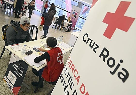 Voluntario de Cruz Roja asesora a un usuario.