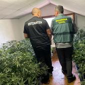 Cae una organización dedicada al cultivo y la distribución de marihuana entre Burgos y Vitoria