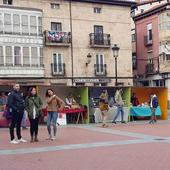 Domingo de Ramos y de 'Distrito' en Miranda de Ebro