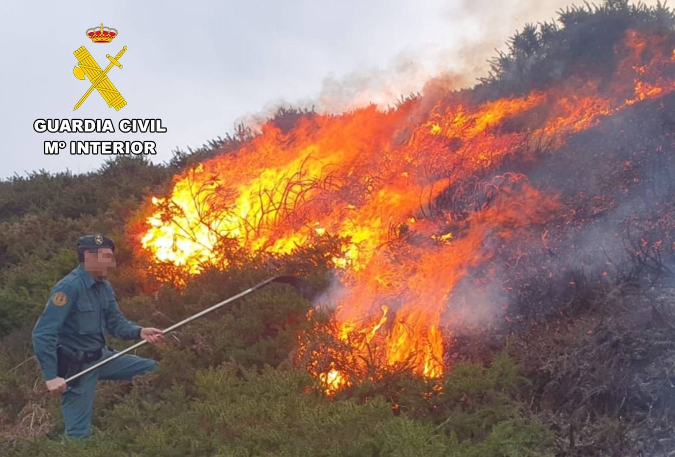 Investigan a un hombre por un incendio forestal provocado en Bezana