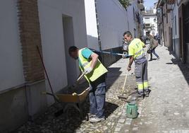 Dependiendo del tamaño del municipio se podrá contratar a más de un empleado municipal.