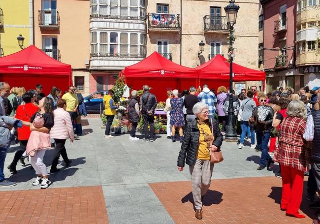 La plaza de España se engalanó para la ocasión.