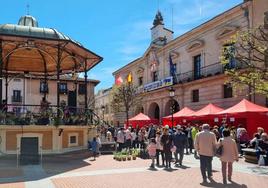 Celebración de la Feria de las Flores en Miranda.