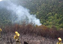 Incendio forestal en Burgos.