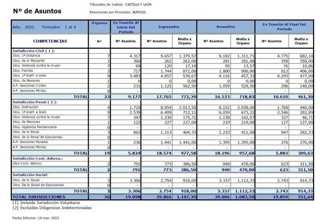 Número de asuntos registrados en los Juzgados de la provincia de Burgos en 2022