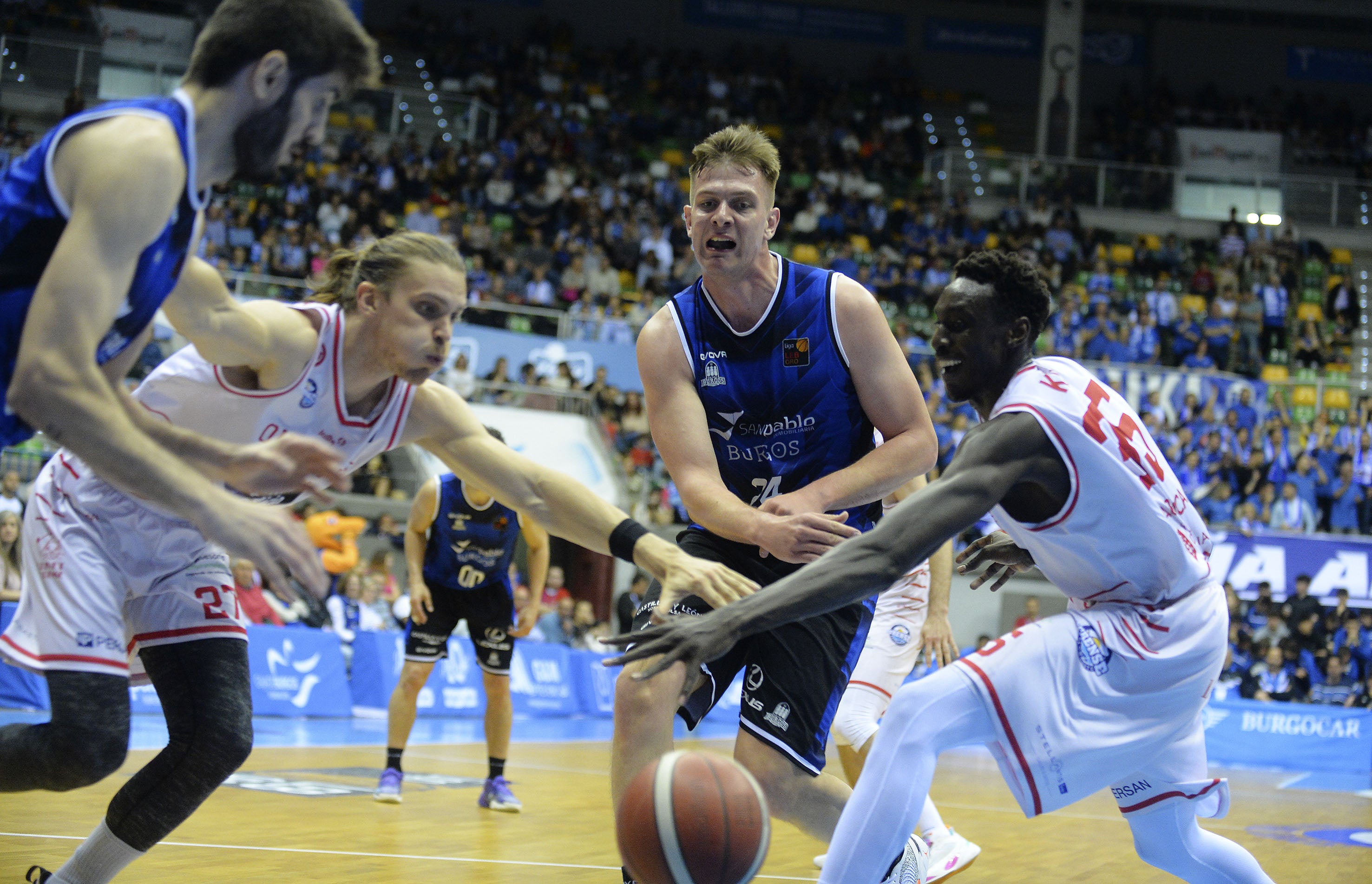 El San Pablo no da opciones al Club Ourense Baloncesto