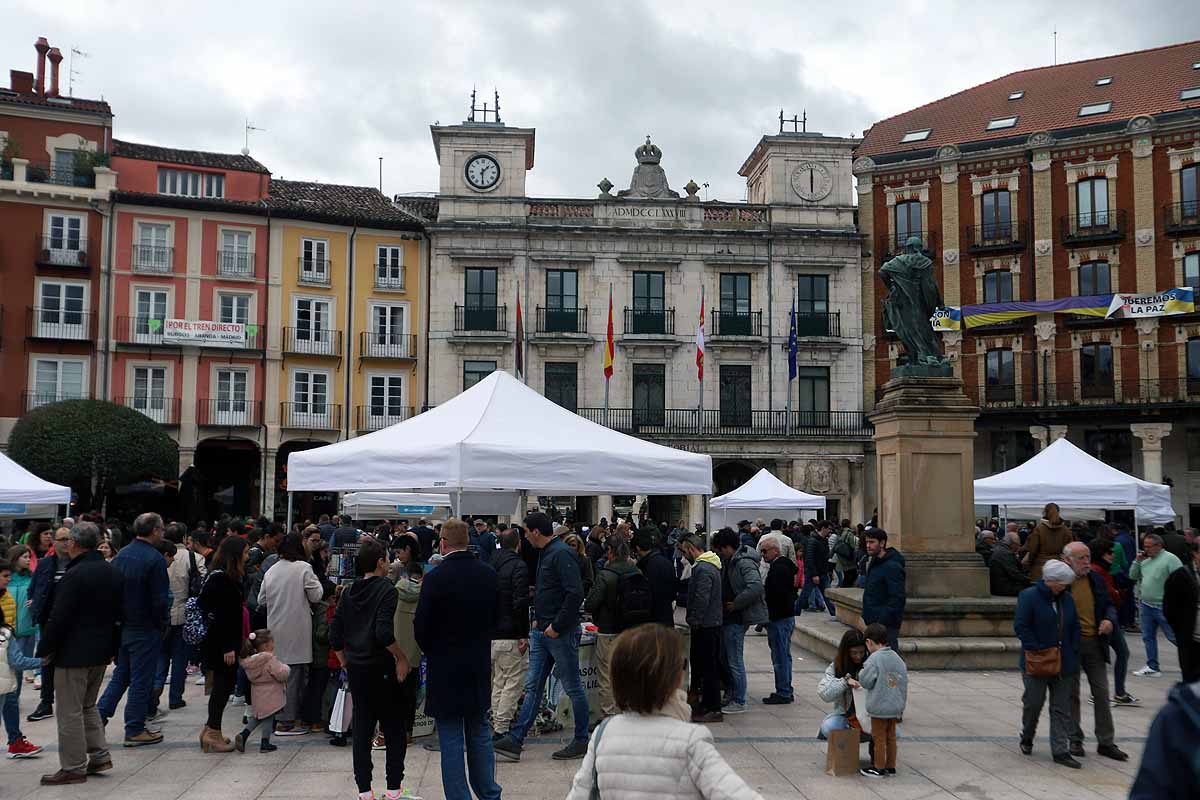 La feria del Día del Libro llena de lectores y literatura la plaza Mayor de Burgos