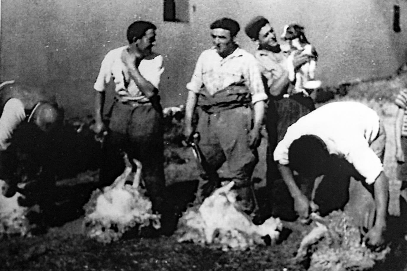 Foto antigua de los familiares de Miguel Ángel esquilando.