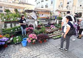 Fiesta de las Flores de 2022 en Burgos.