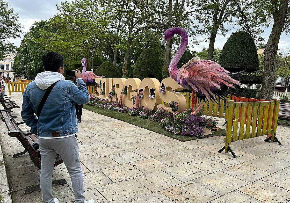 Burgos se engalana para acoger la Fiesta de las Flores.