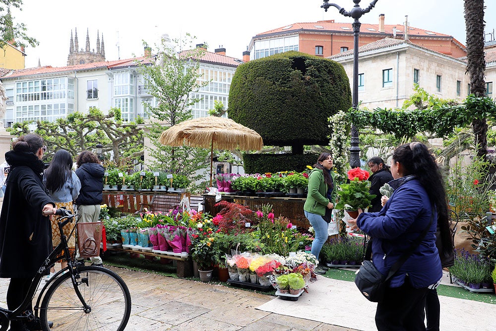 Monumentos florales de la Fiesta de las Flores de Burgos