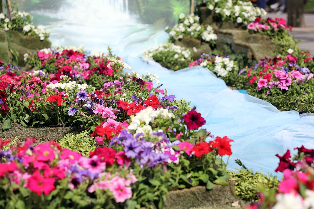 Monumentos florales de la Fiesta de las Flores de Burgos