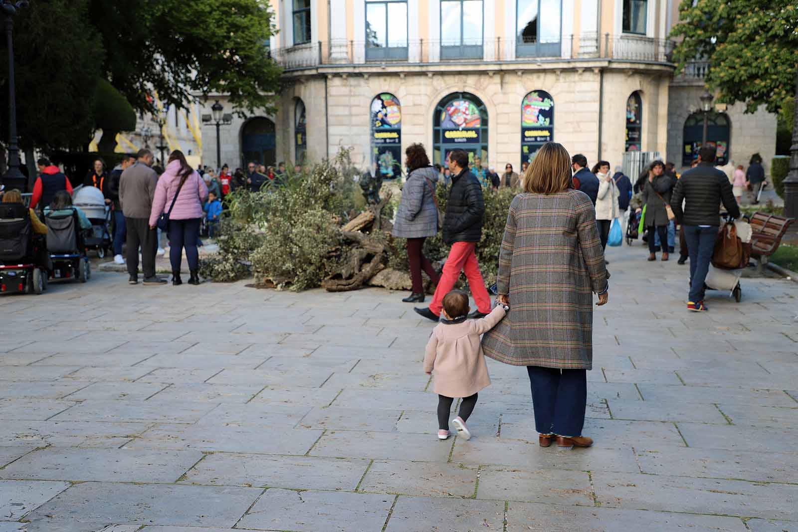 Burgos se llena de flores y gentío