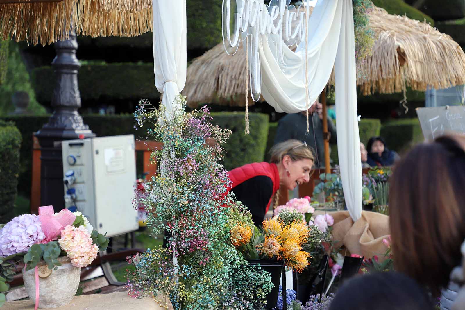 Burgos se llena de flores y gentío