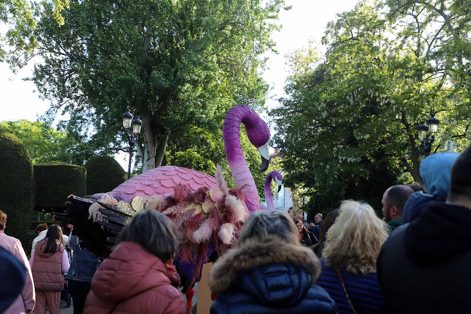 Burgos se llena de flores y gentío