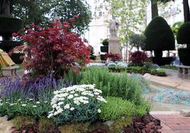 Las plantas se reutilizan en los parques y jardines de Burgos.