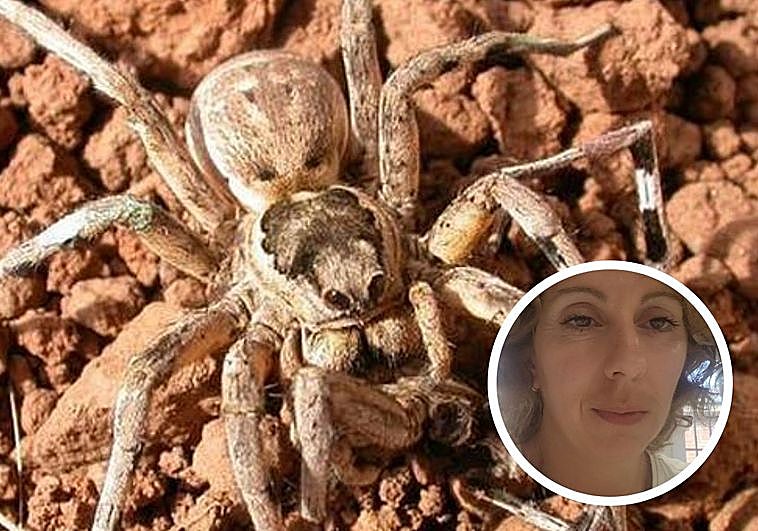 El canibalismo en el reino animal