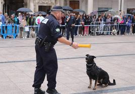 Varias unidades han ofrecido una exhibición en la Plaza Mayor.