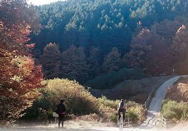 La vía verde más bonita de España para recorrer en bici está en Burgos