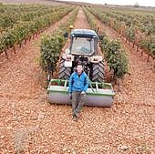 El patrimonio vitivinícola ribereño, presente en las Jornadas del Vino de la Universidad de Poitiers