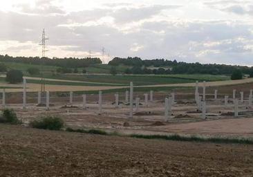 El TSJ avala los permisos para construir una granja porcina en San Juan del Monte