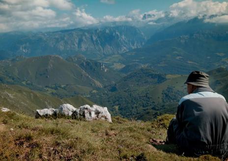 Imagen secundaria 1 - Escenas de Amarillo. Caído del cielo. La aventura de El pájaro amarillo' y secuencia del documental 'Salvajes'.