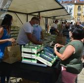 Burgos celebra este fin de semana 'Días de cerezas'