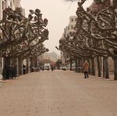 Alerta por calima en Burgos desde el martes