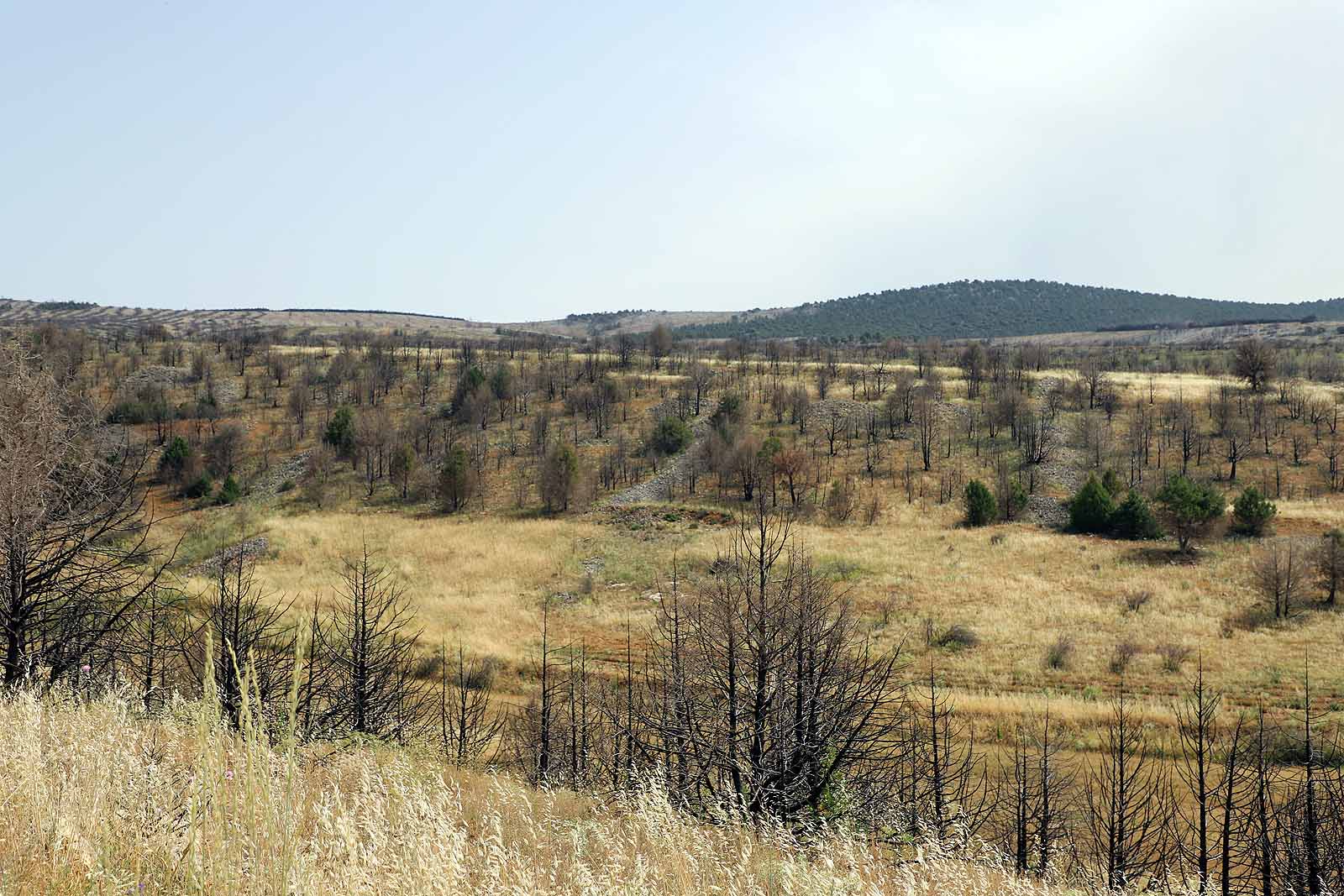 Así está la comarca del Arlanza un año después