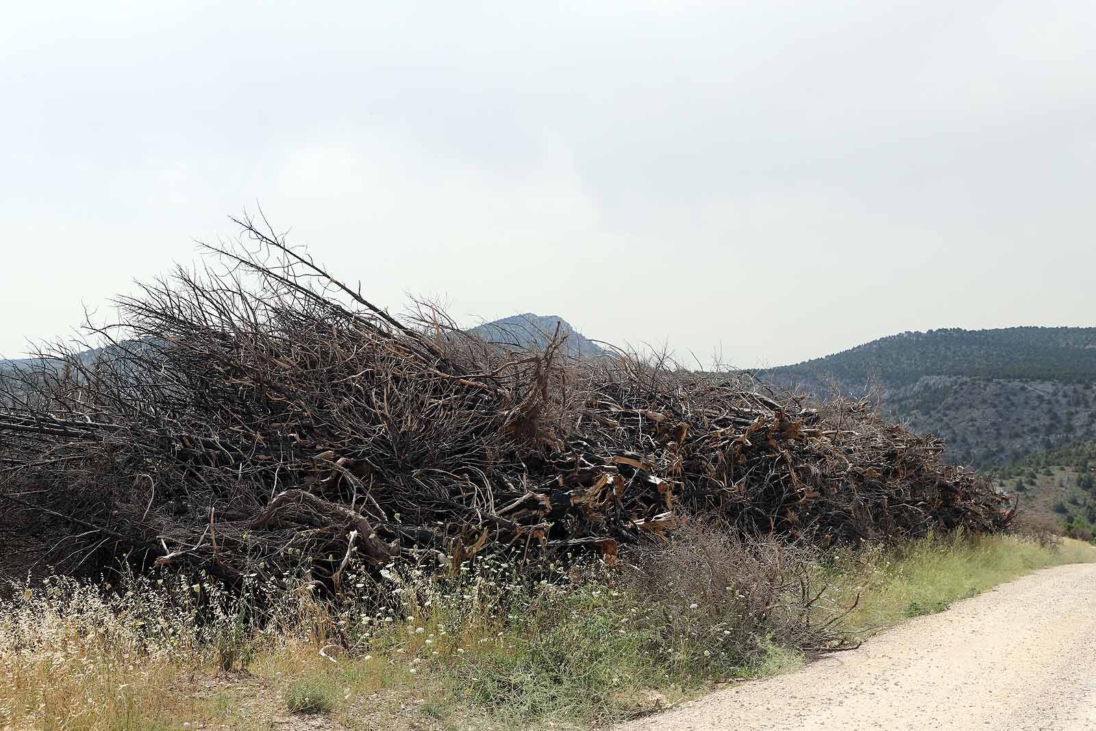 Así está la comarca del Arlanza un año después