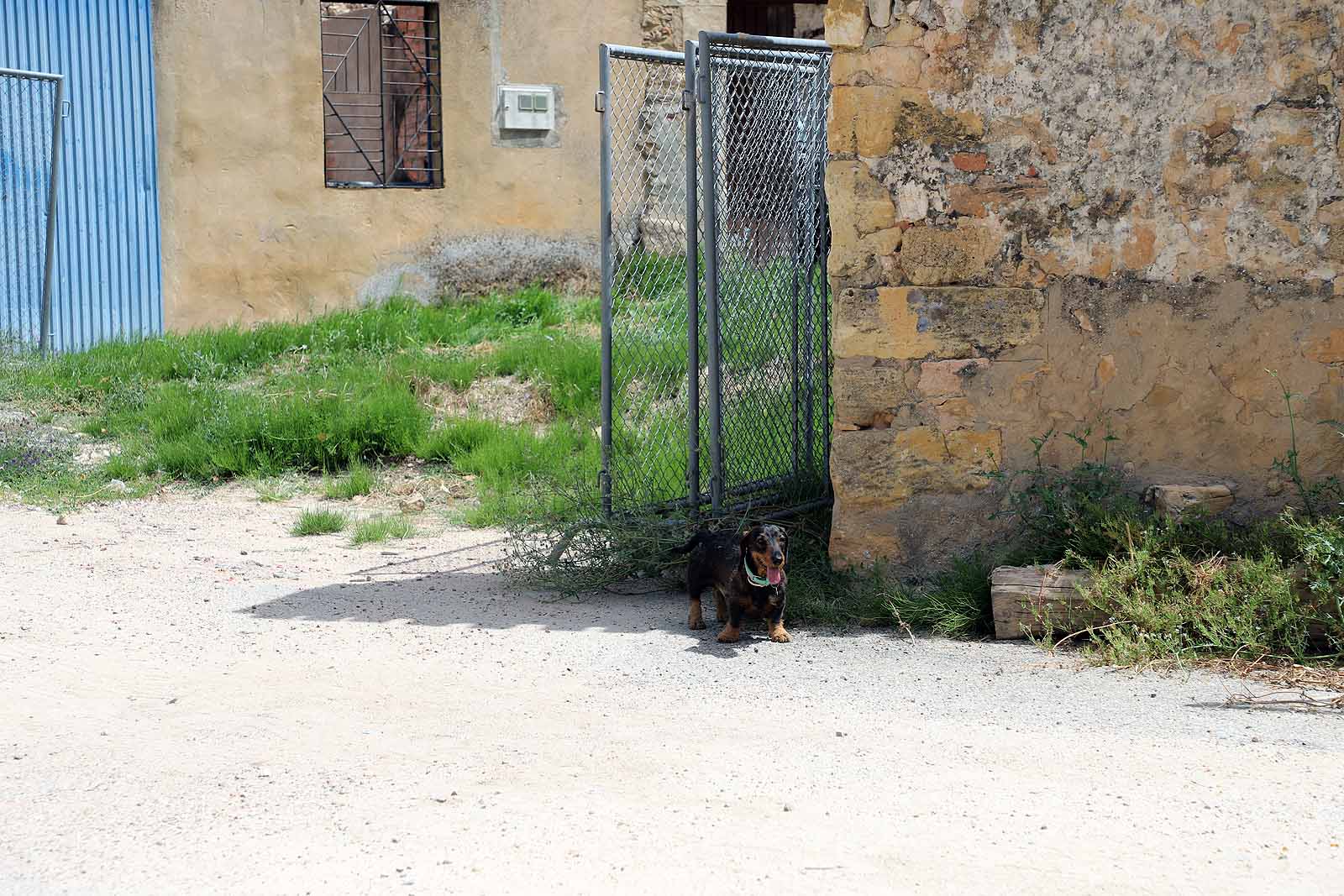 Así está la comarca del Arlanza un año después