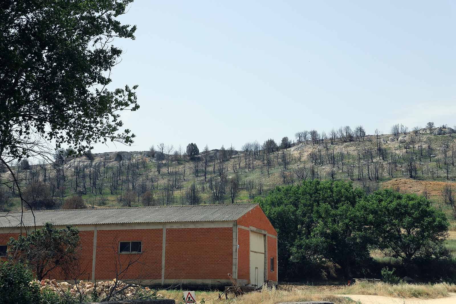 Así está la comarca del Arlanza un año después