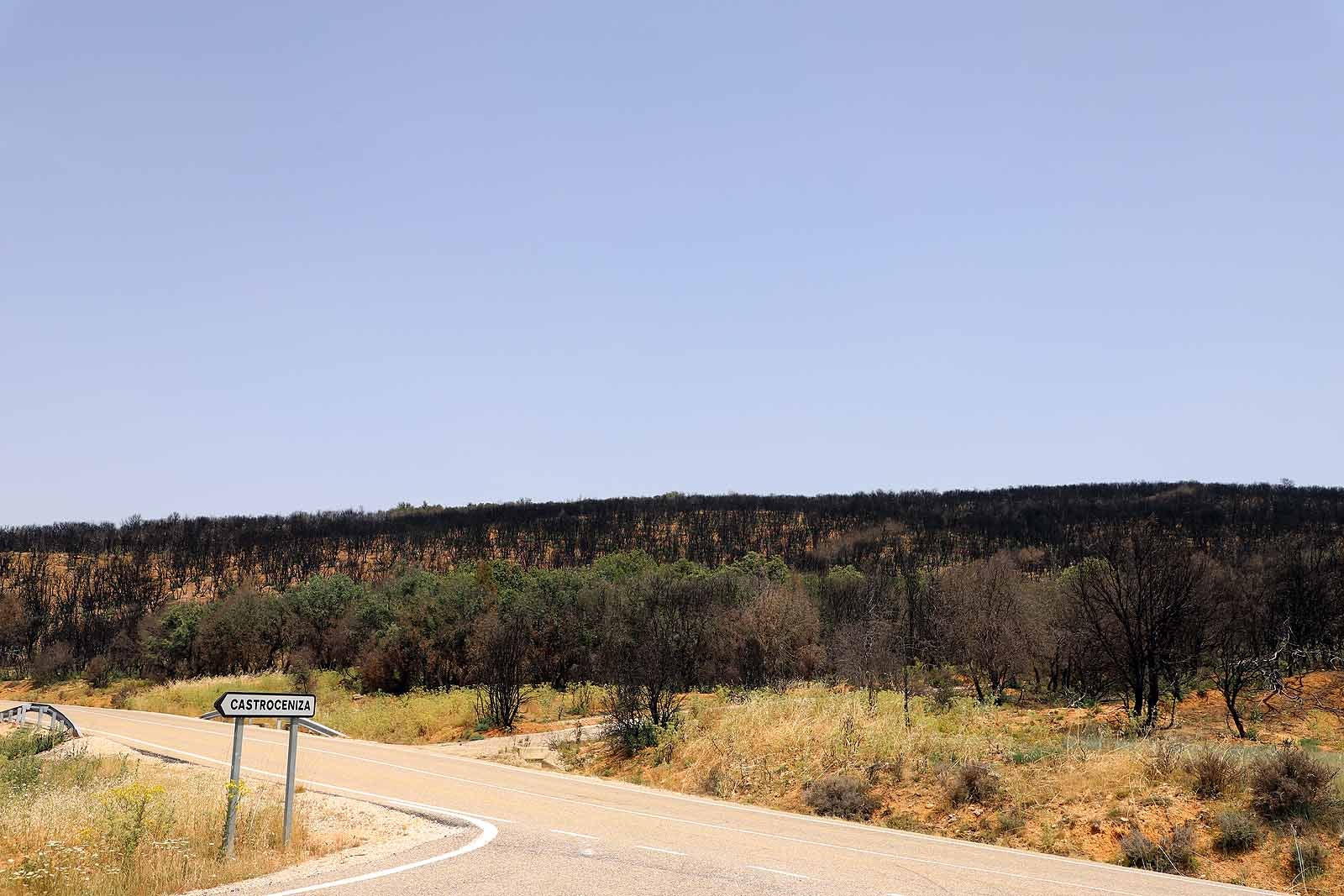 Así está la comarca del Arlanza un año después