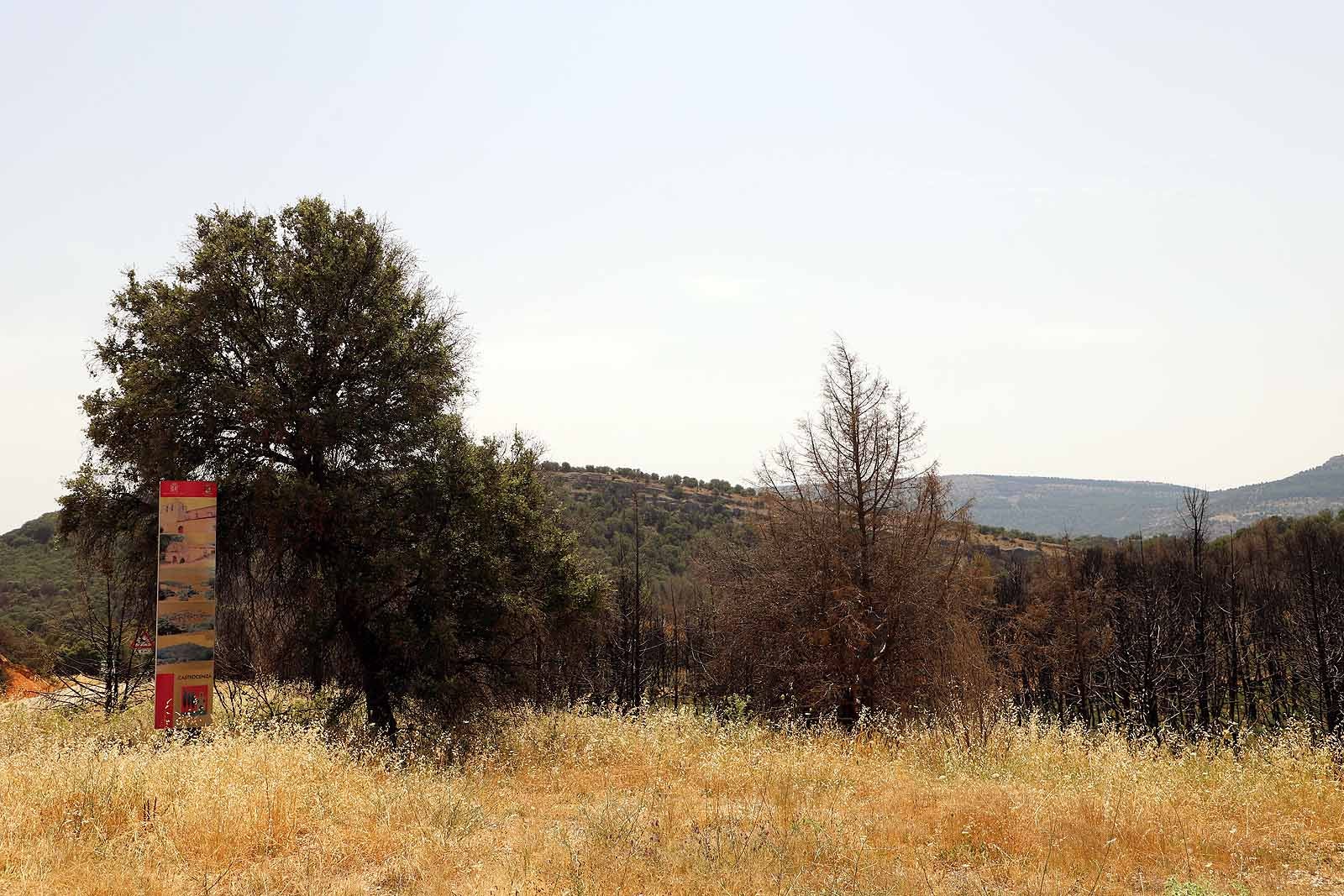 Así está la comarca del Arlanza un año después