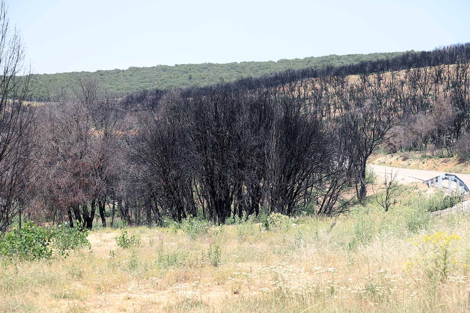 Así está la comarca del Arlanza un año después