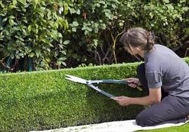 Un total de 16 alumnos se han formado en materia de jardinería.