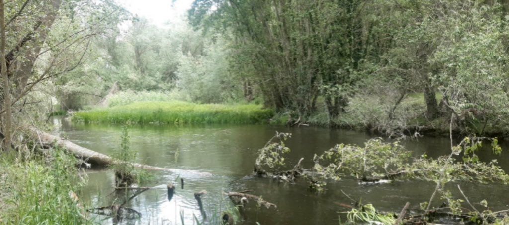 Labores de mejora en el río Arlanzón